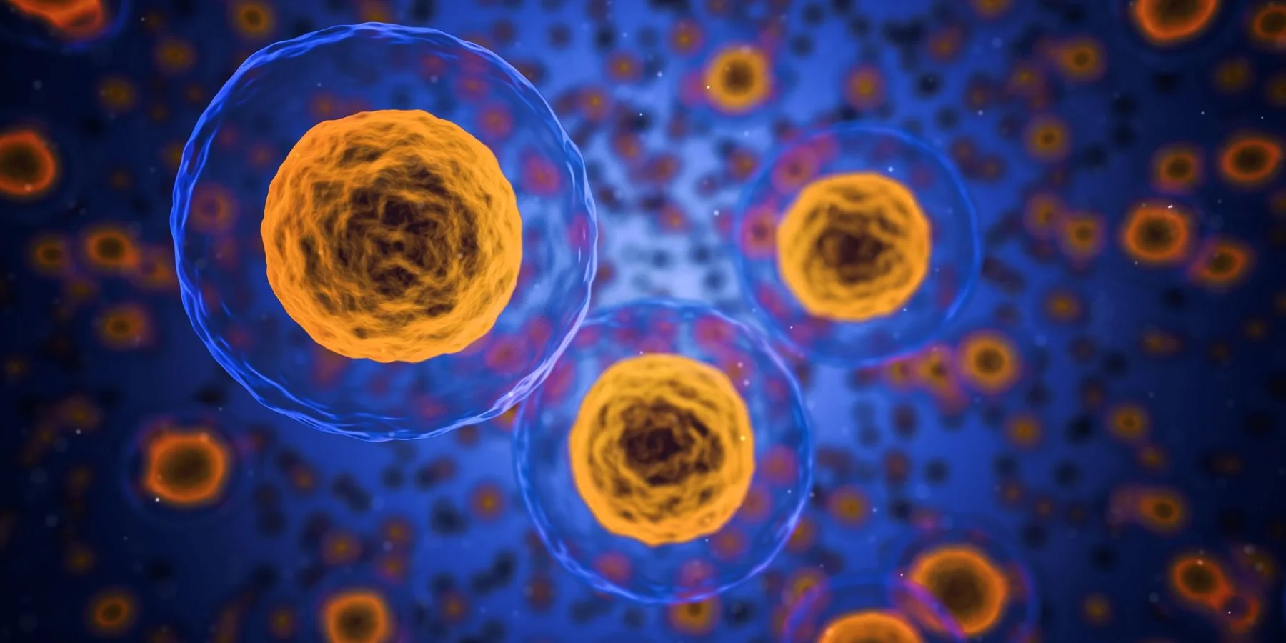 AI-Designed Proteins Boost Immune Cell Production, Can Enhance Immunotherapy
