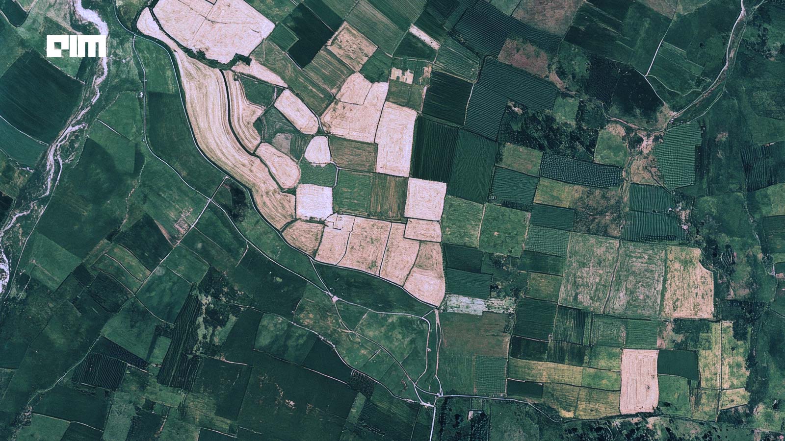 Where Does India Stand in Leveraging AI for Agritech?