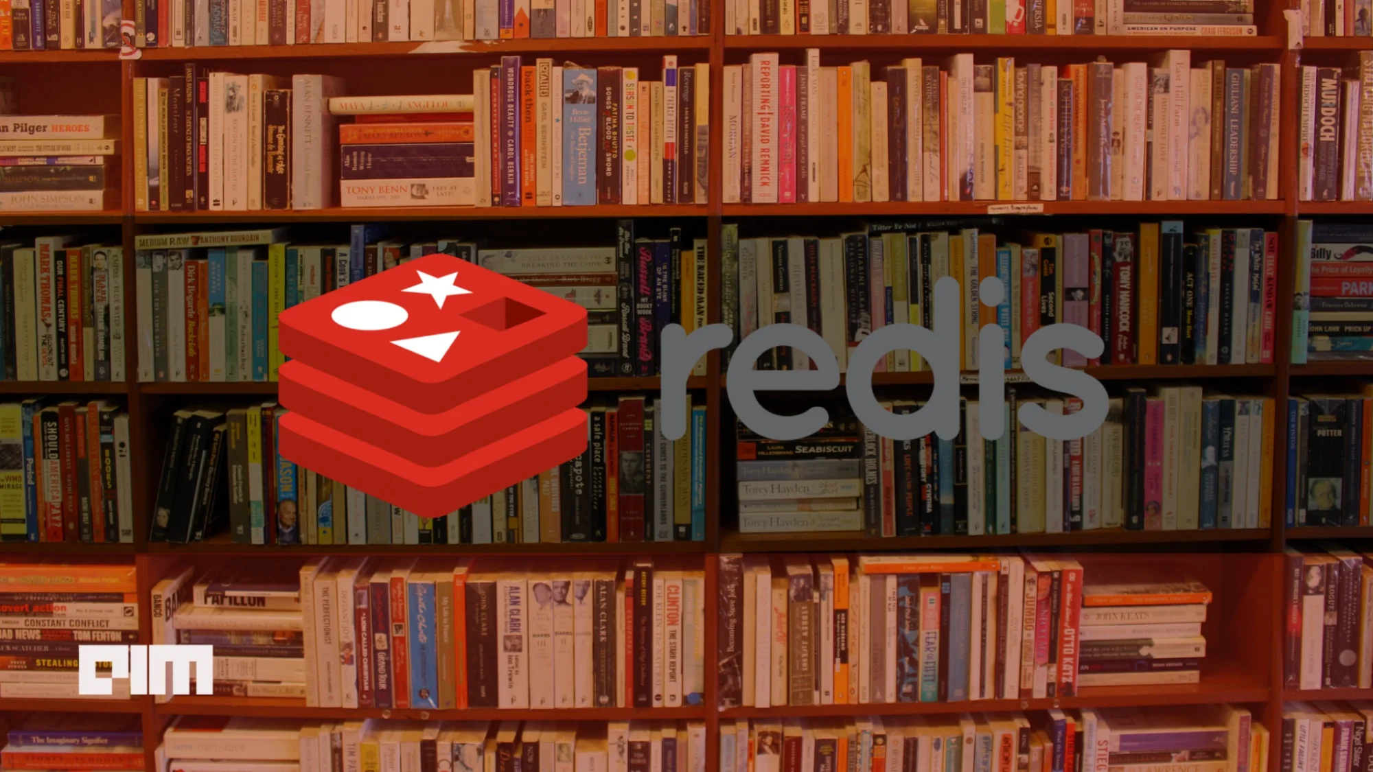 Redis Gets a Fresh Leadership Makeover