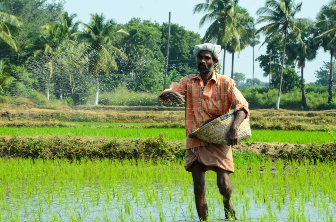 KissanAI Unveils Dhenu Vision LLMs for Crop Disease Detection