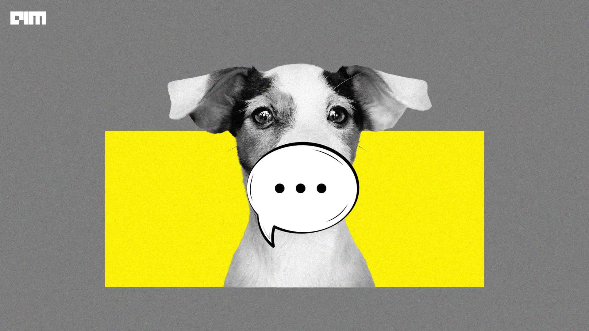 Soon, LLMs Can Help Humans Communicate with Animals