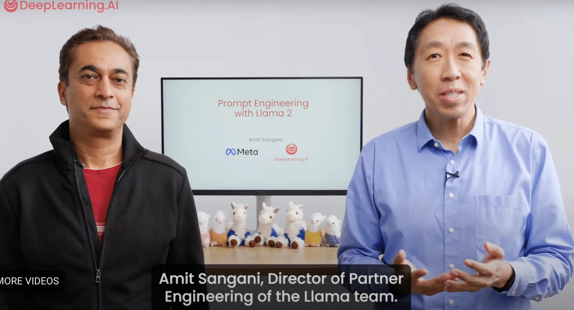 Andrew Ng Unveils New Free Course on Llama 2 with Meta