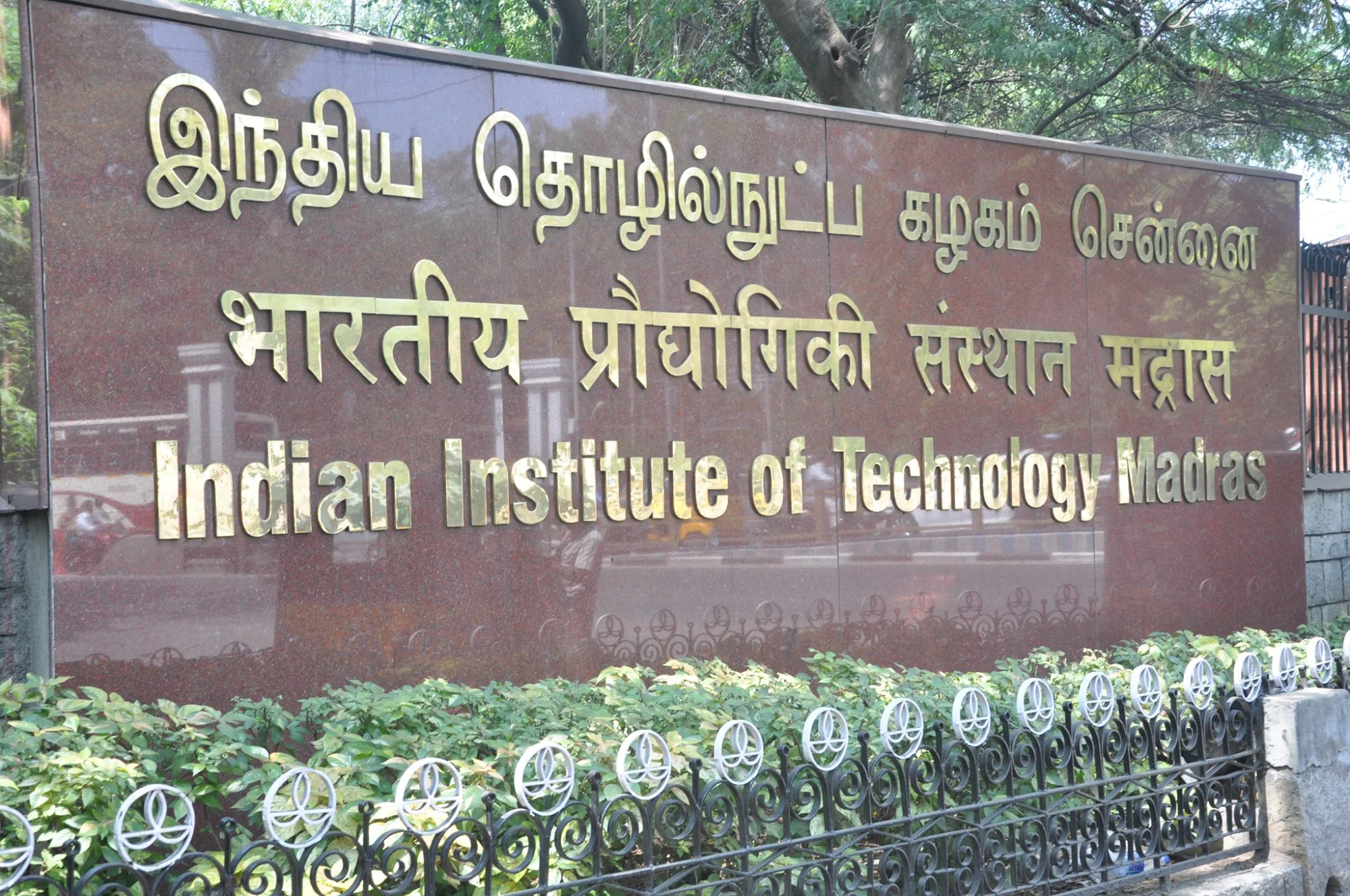 IIT Madras taps AI to understand the conversion process of biomass to fuel
