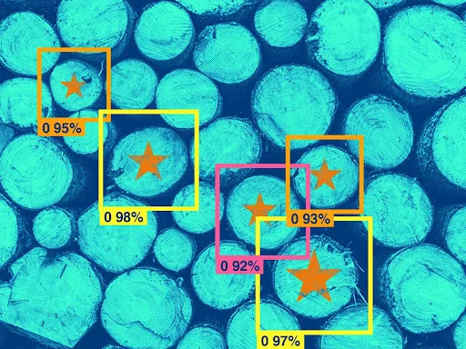 A tutorial on building custom object detection models using detecto