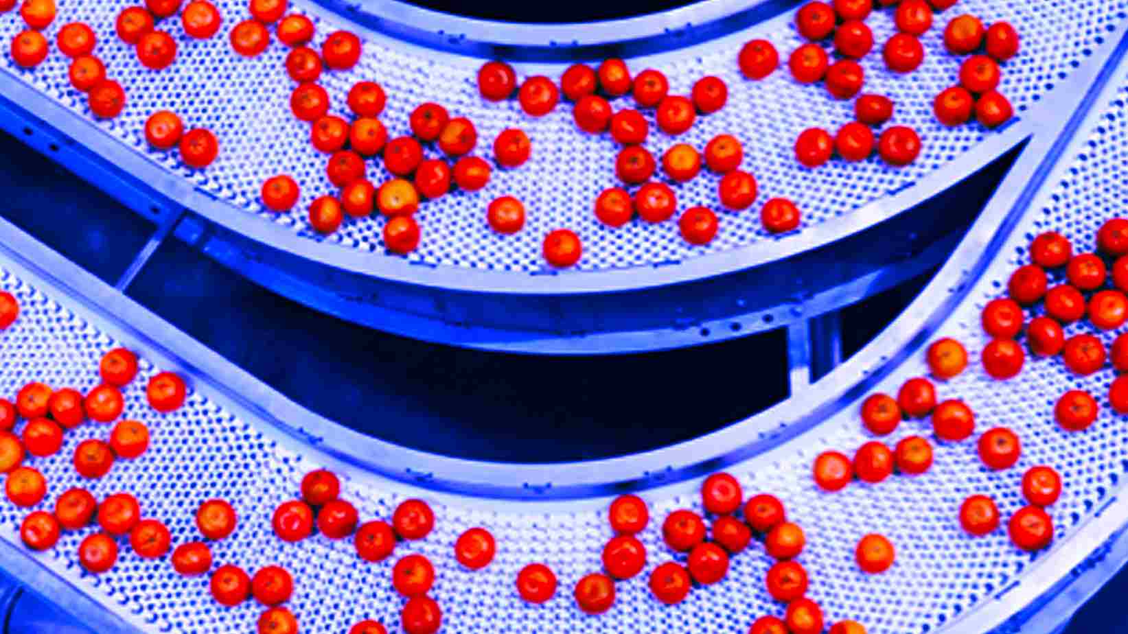Top data fabric solutions for your business