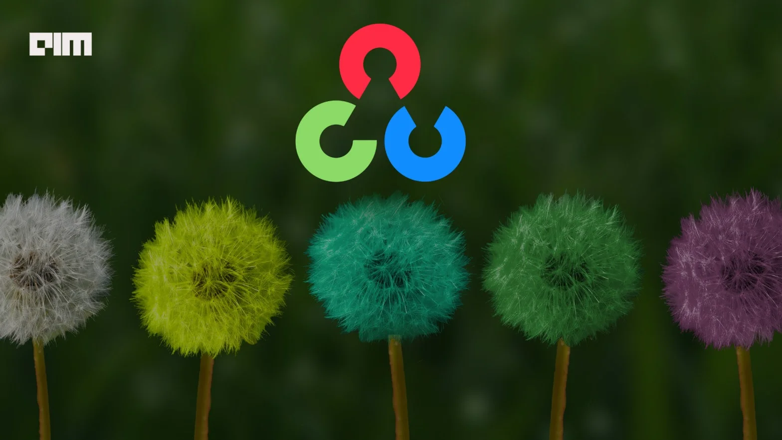 Complete Tutorial On Image Transformations With OpenCV
