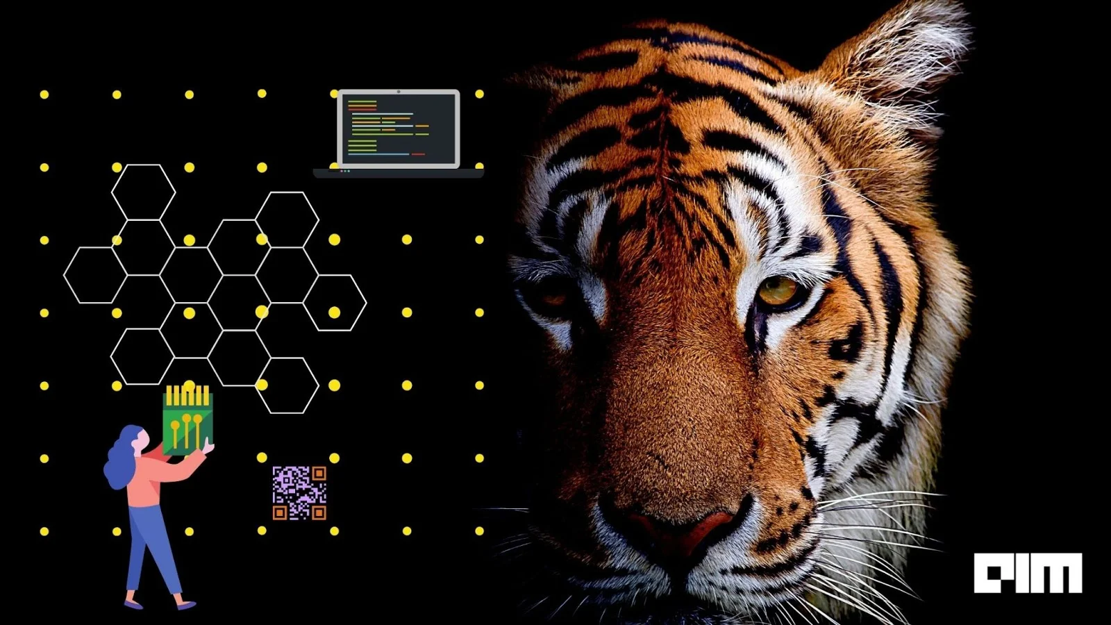 How AI Is Changing The Dynamics Of Wildlife Conservation | Analytics ...