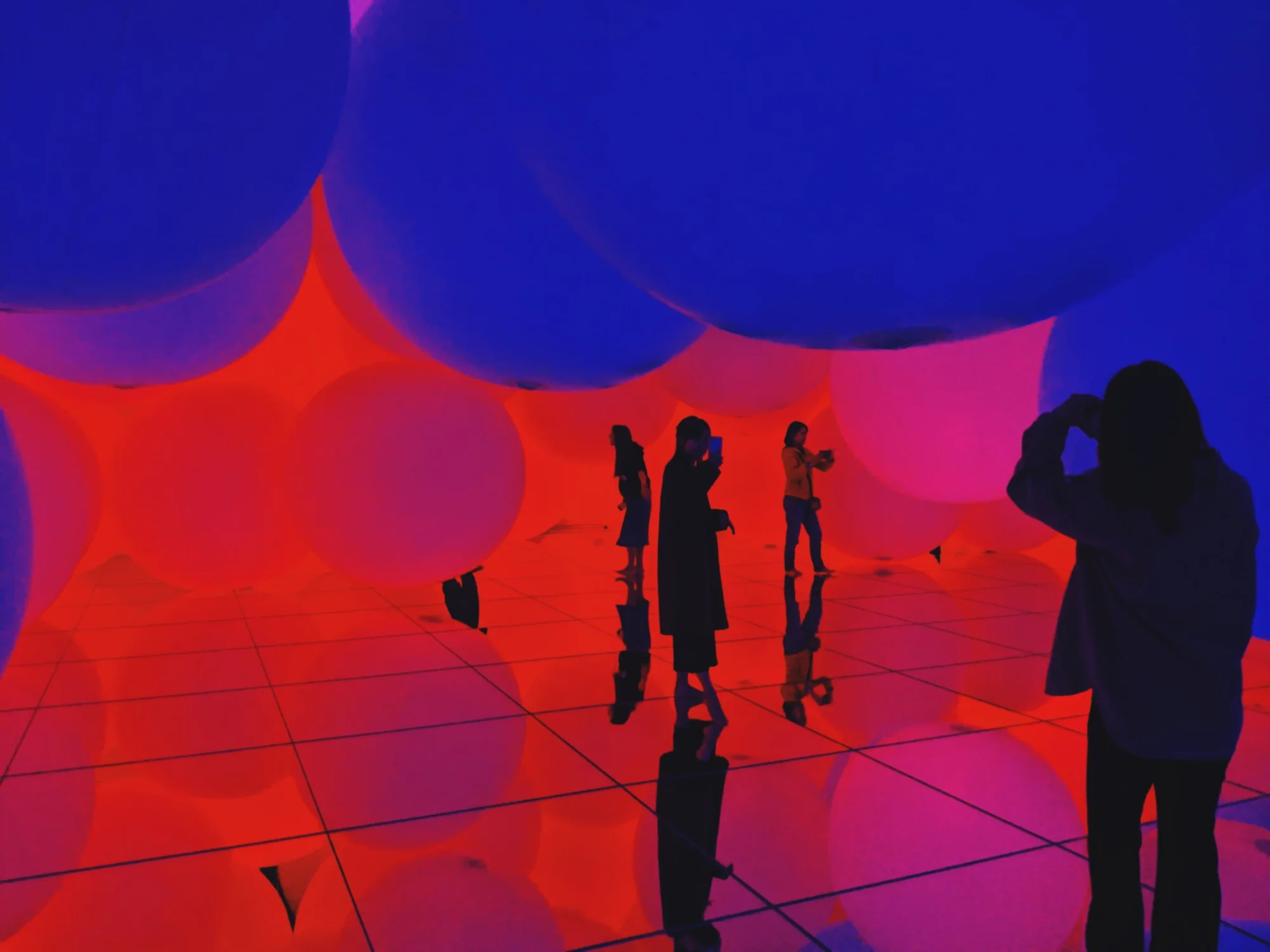 Action Recognition Using Inflated 3D CNN