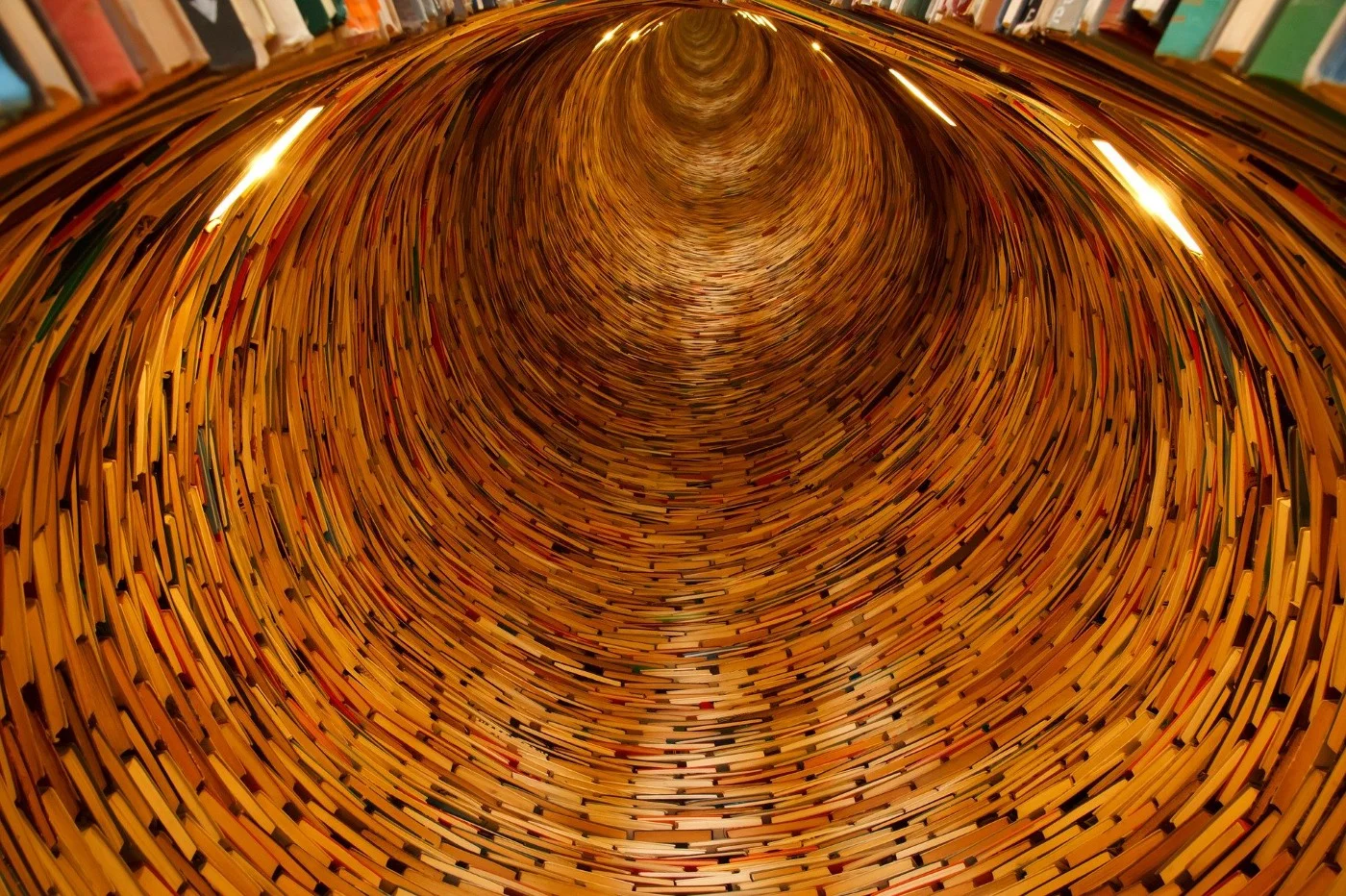 Understanding the AUC-ROC Curve in Machine Learning Classification