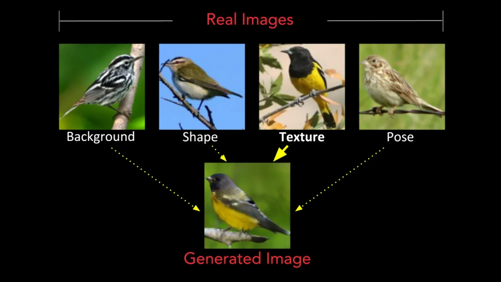How To Generate Conditional Image Via MixNMatch
