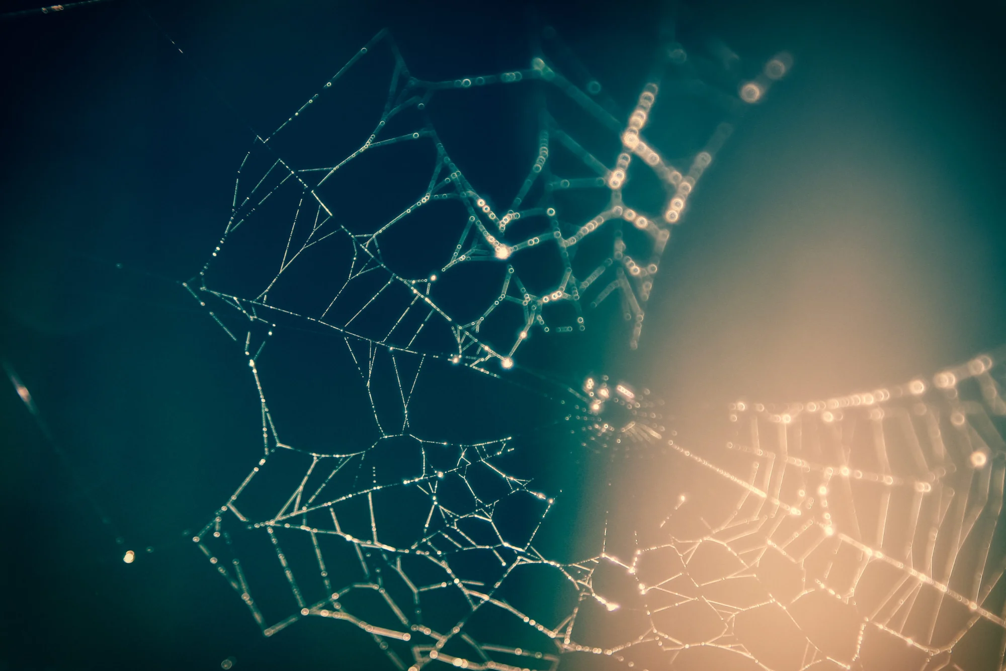 Introduction To Keras Graph Convolutional Neural Network(KGCNN) & Ragged Tensor
