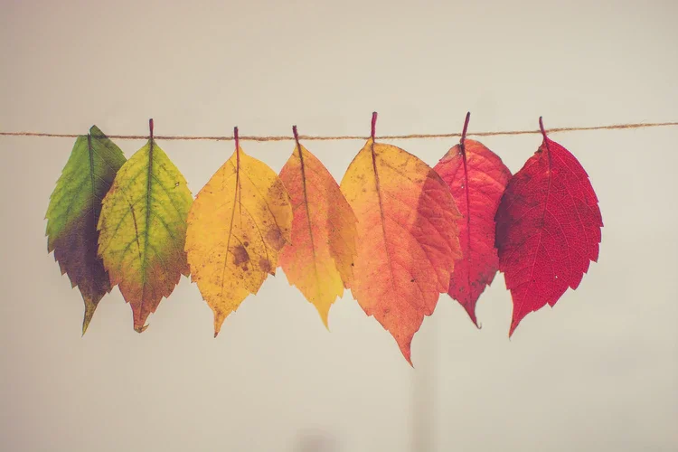 Top 8 Data Transformation Methods