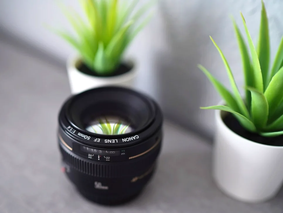 Top AI-Based Online Photo Editing Tools For 2020