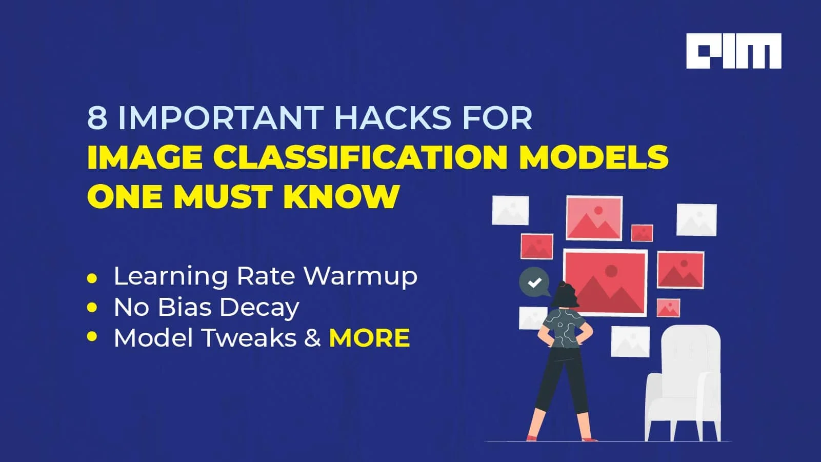 8 Important Hacks for Image Classification Models in 2024
