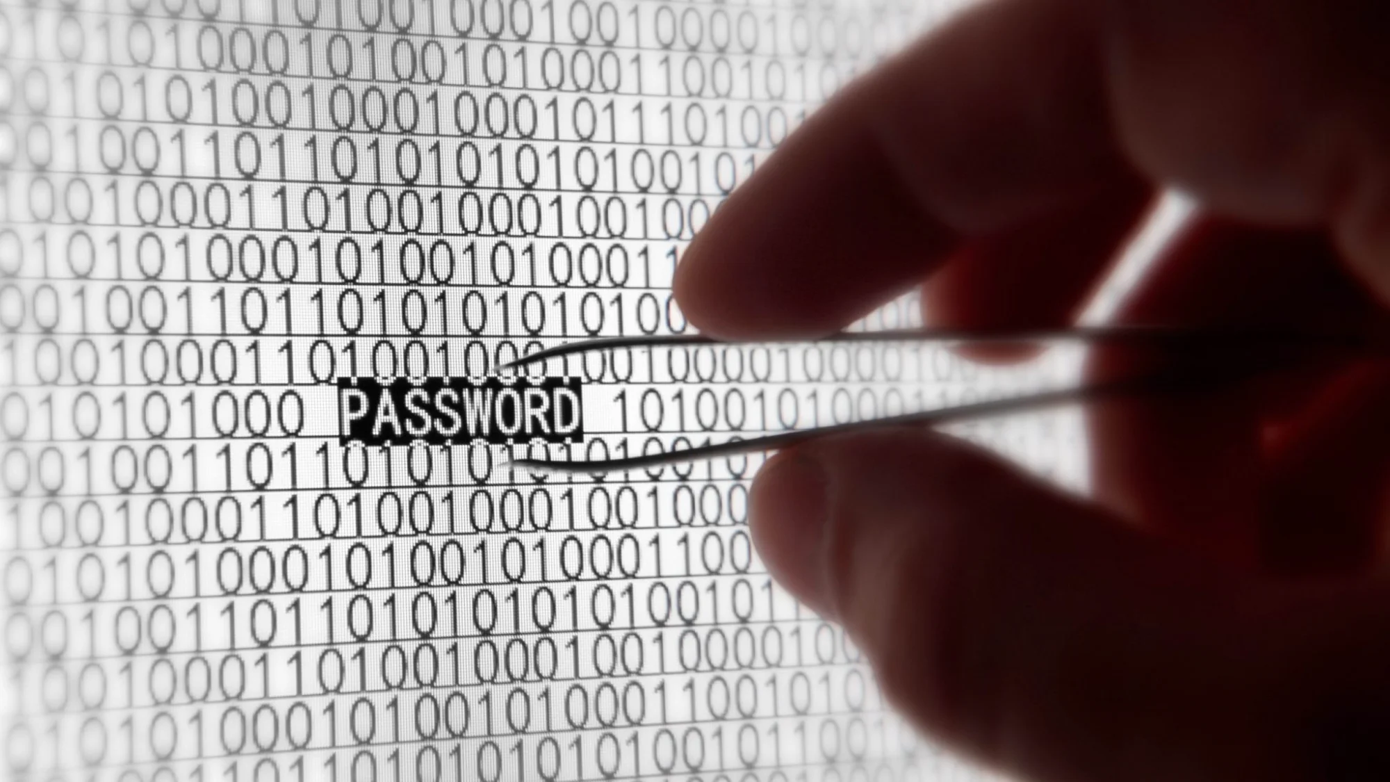 World Password Day: Can We Leverage Technology To Protect Passwords From Hackers?