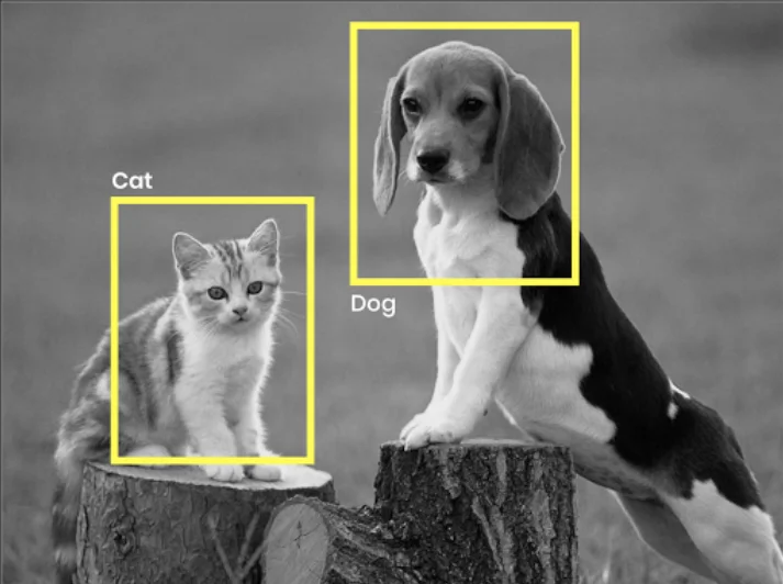Image Captioning Computer Vision Computer Vision Models That Learn From Language | AIM