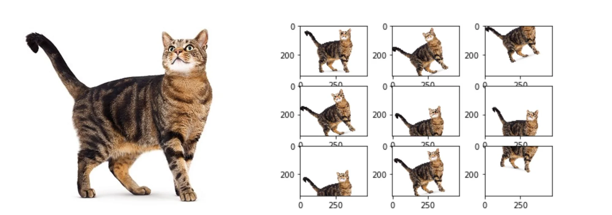 How Does Data Augmentation Improve Image Classification? | AIM