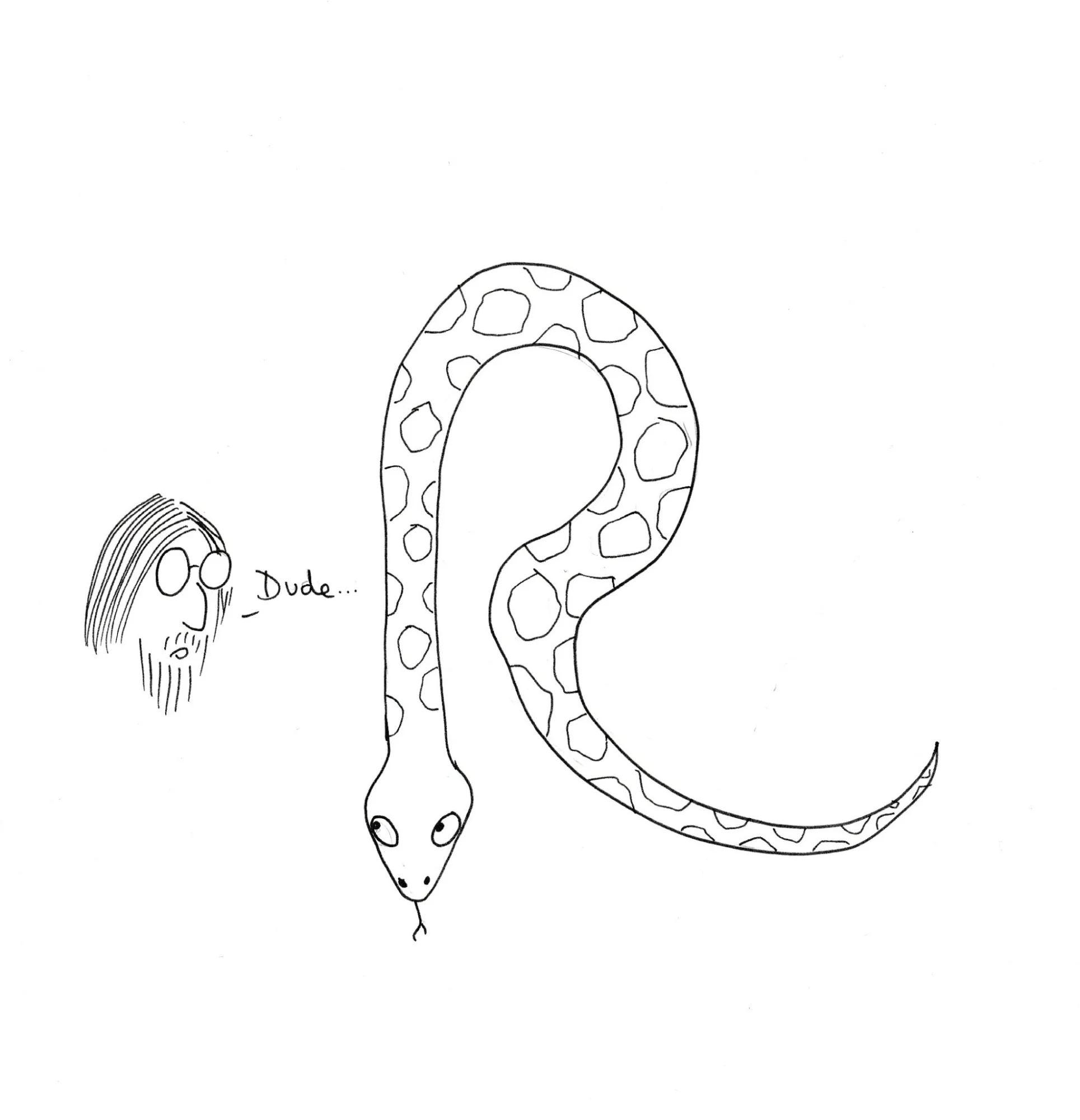 Is Toon Better Than R or Python? | AIM