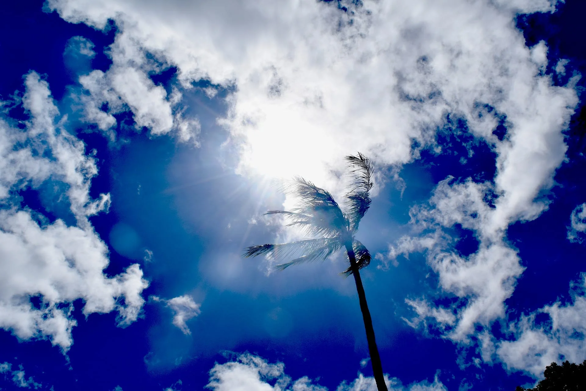 How Deep Learning Is Mitigating Climate Change Threats