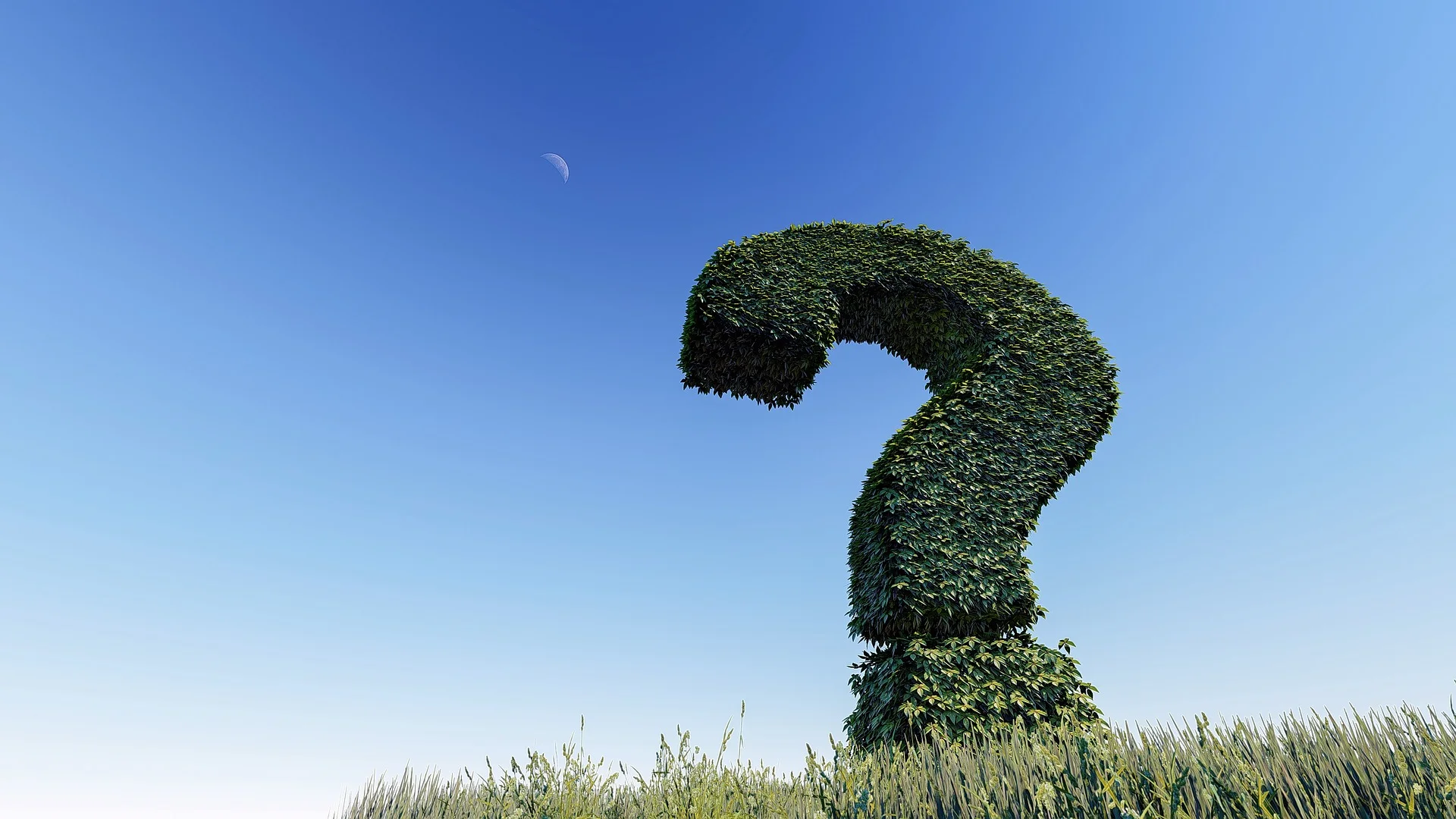 Do AI Researchers Fully Understand How Algorithms Work?