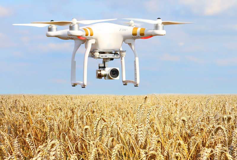 Top 6 Indian AgriTech Startups That Are Revolutionising Agriculture