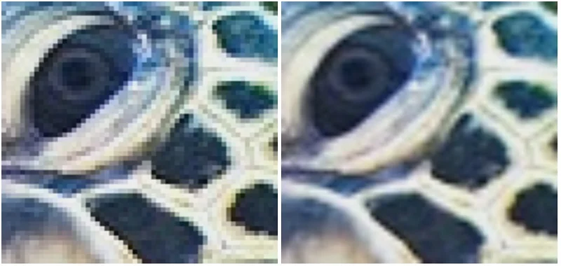 How Google Is Using Deep Learning To Identify Out-Of-Focus Microscope Images