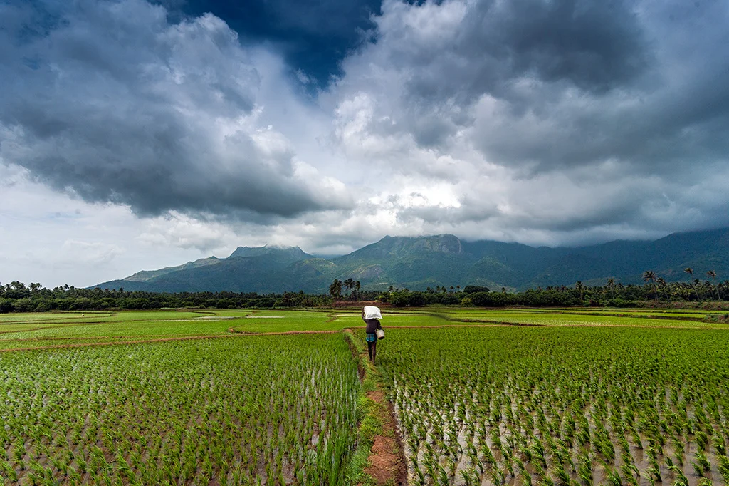 5 Noteworthy AI And IoT Startups That Are Providing Smart Solutions To Indian Farmers