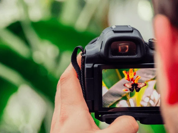 How Nikon, Canon Are Using AI To Stay Relevant In Today’s Instant Photography Ecosystem