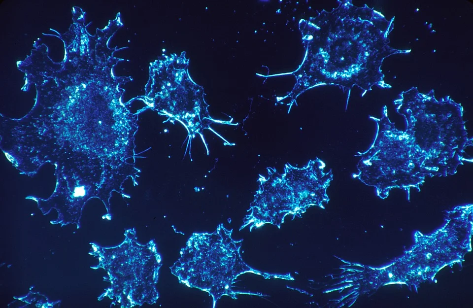 Why Doctors Should Be Cautious While Using Deep Learning Applications In Clinical Settings