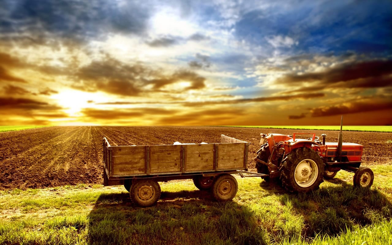 Data Science to Help Poverty Stricken Farmers