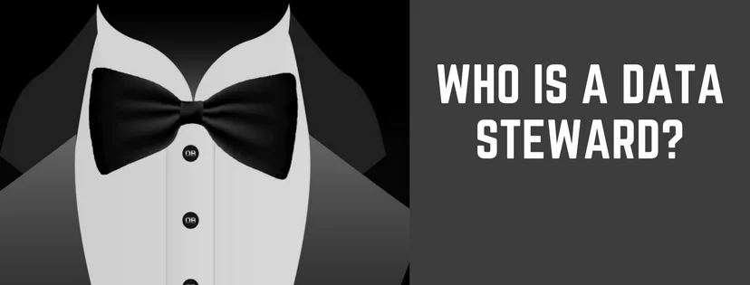 Wha is Data Steward And What Are Their Roles And Responsibilities?
