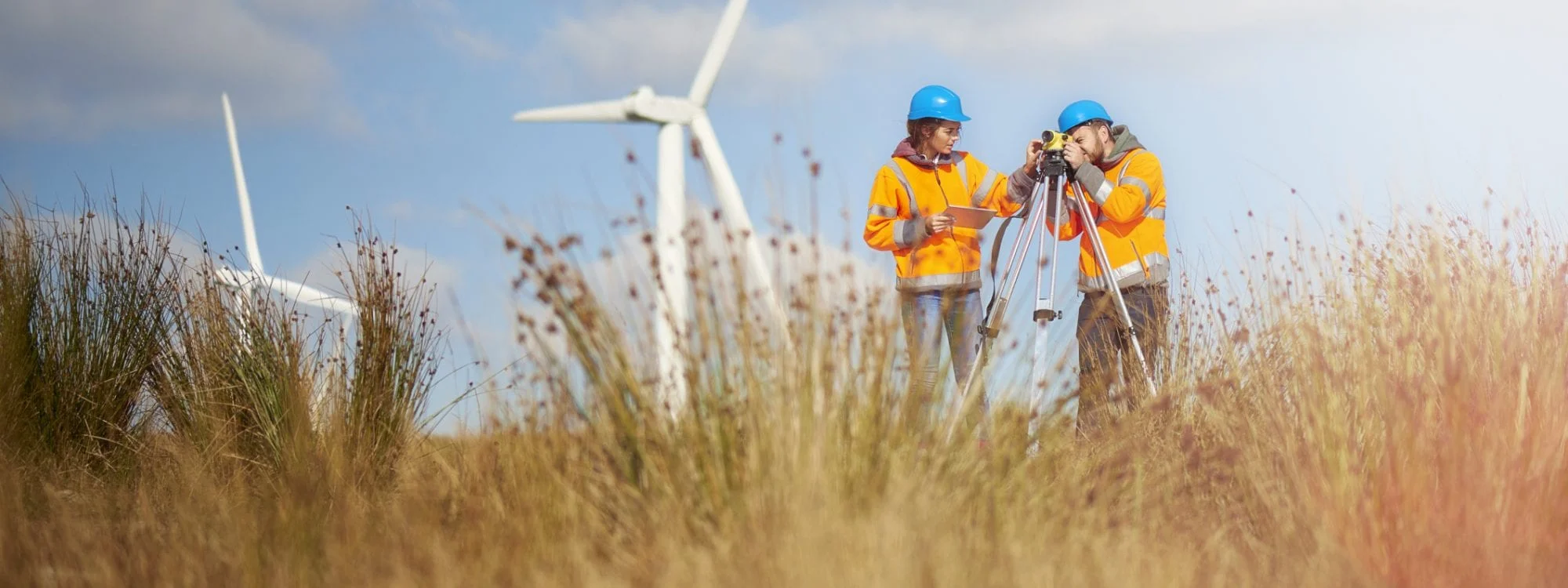 Big Data and Analytics is now being used in greening the planet