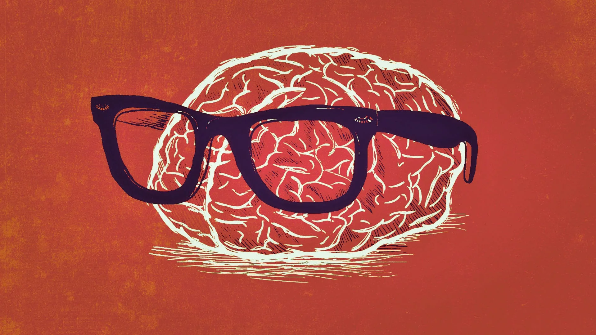 What to expect when someone says “I am a Data Scientist”?