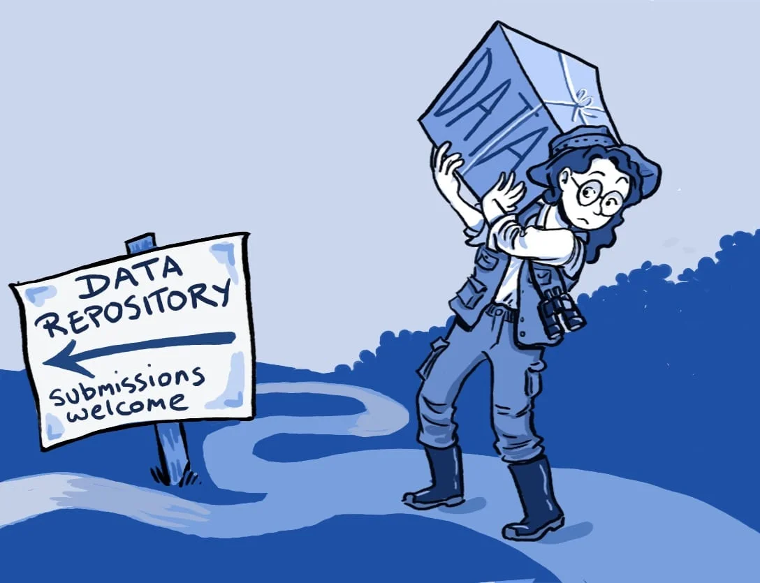 The rise of Data Lake and how India is playing a key role in it