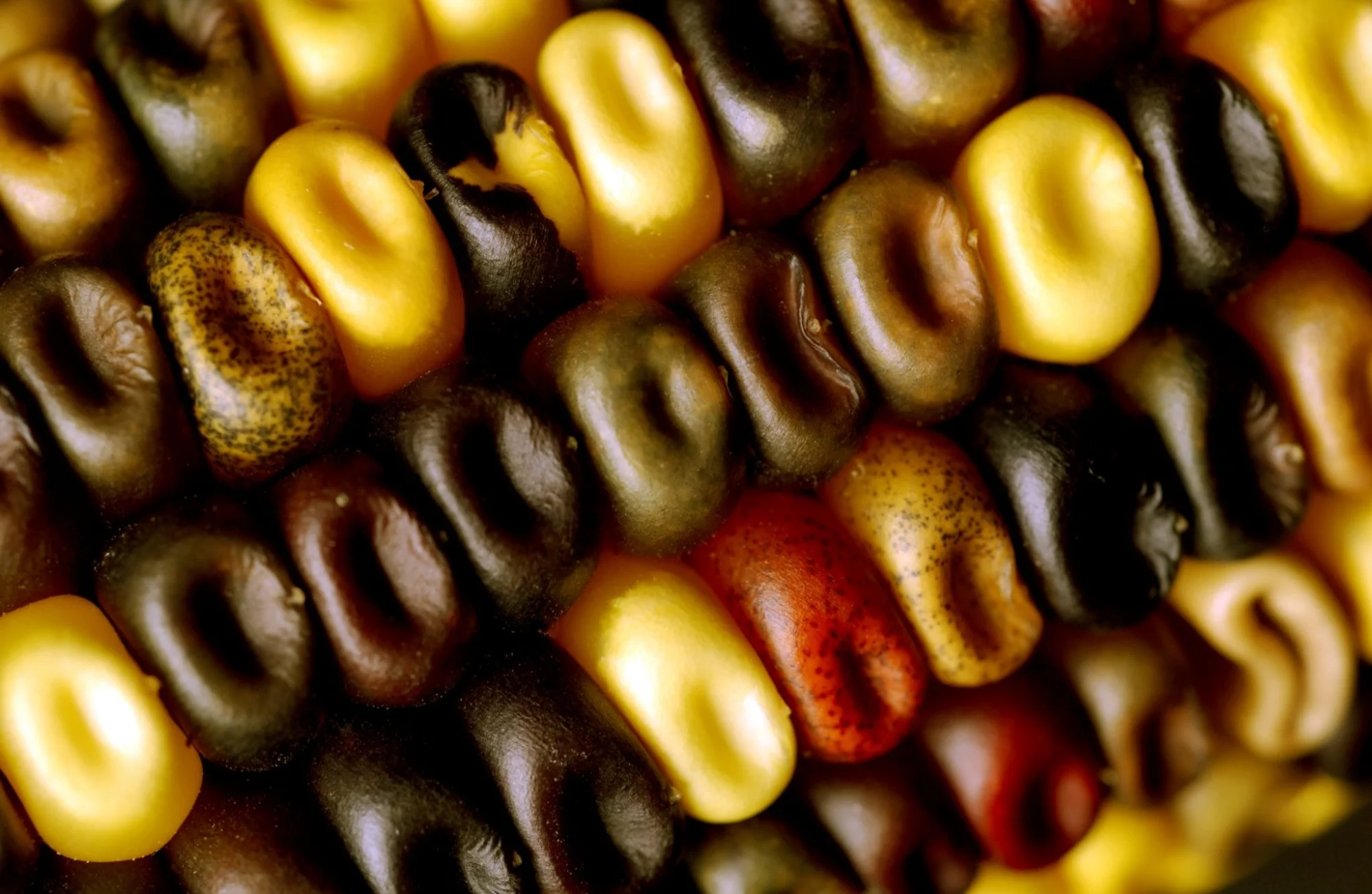The Commodities Industry: more SMAC stack than Smokestack?