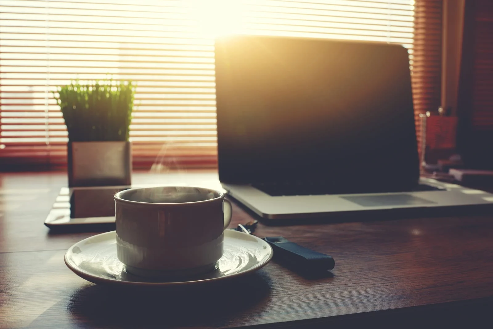 Single Window vs Marketplace Model in Online Education