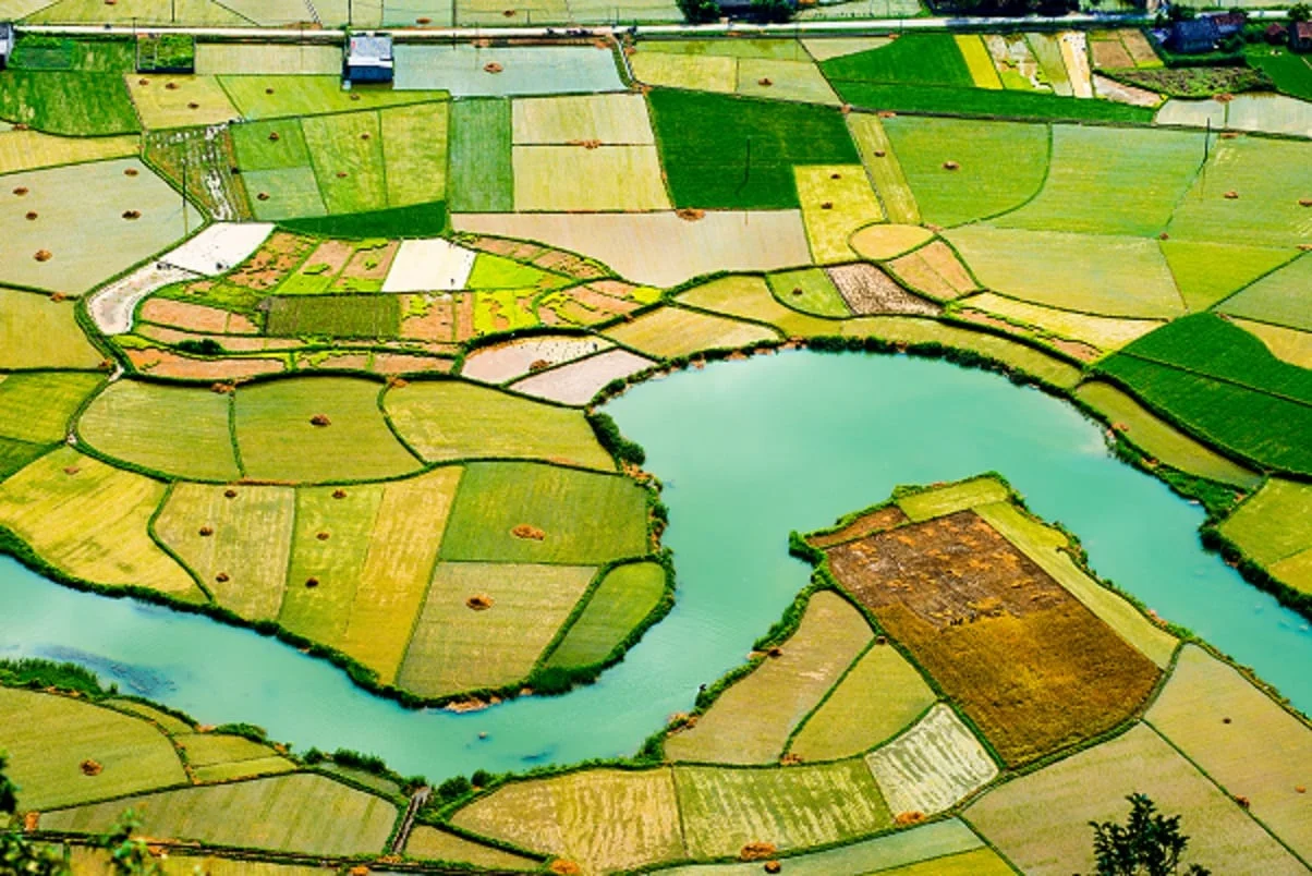 Big Data- A Big Deal for Sharing Economy?