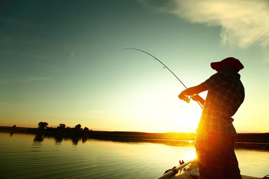 Fishing where the fish are