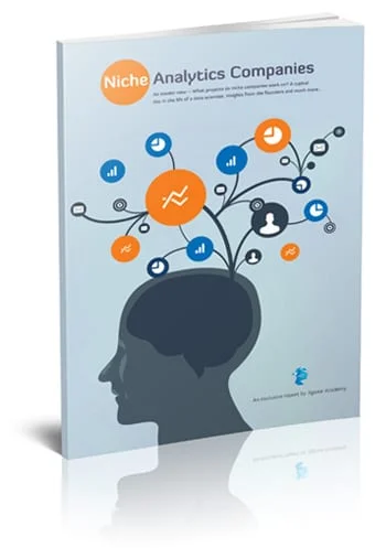 Niche Analytics Companies- A Report by Jigsaw Academy