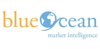 Blueocean Market Intelligence Honored with 2013 Bees Award for “Best Social Media Marketing Theory”
