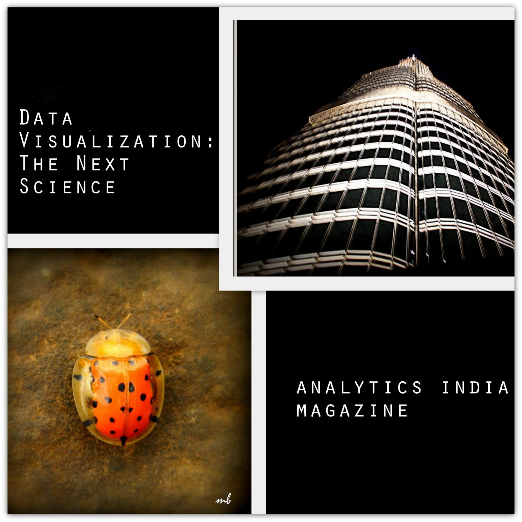 Data Visualization: The Next Science