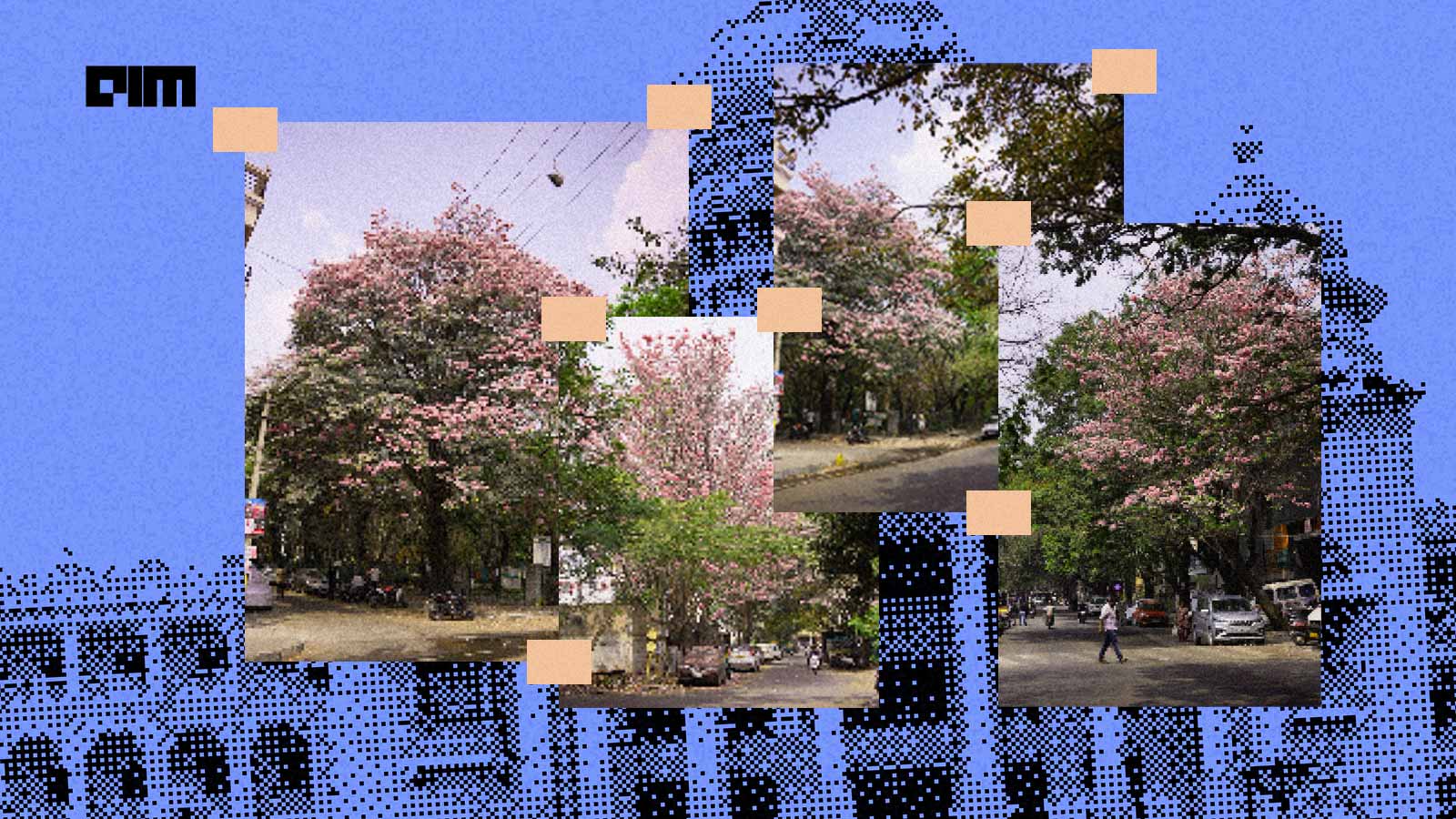 Mapping Bengaluru's Pink Blossoms: These Techies are Using AI to Track 27,000 Trees