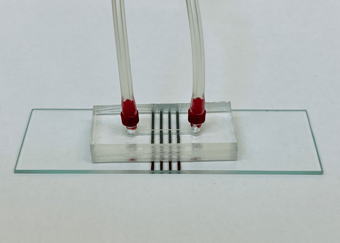 Can IIT Madras Chip Revolutionize Antibiotic Testing? | Analytics India ...